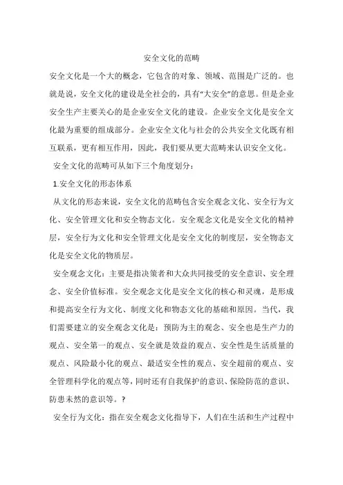 安全文化的范畴