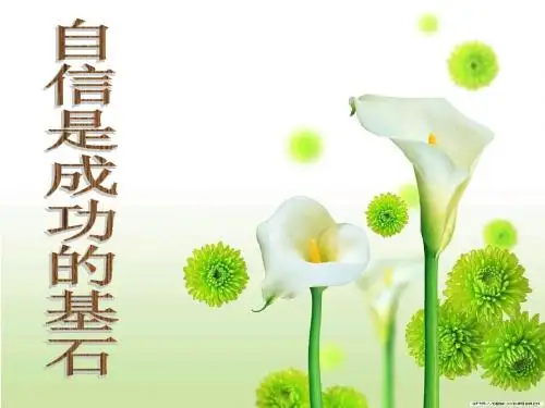自信是成功的基石PPT优秀课件4 人教版(共19张)