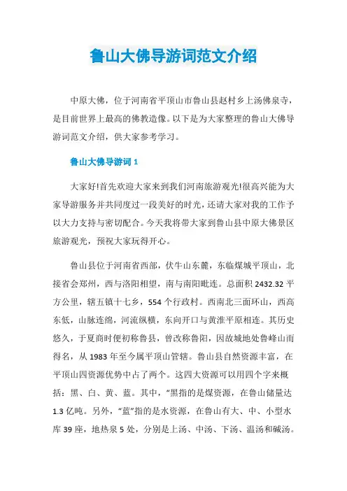 鲁山大佛导游词范文介绍