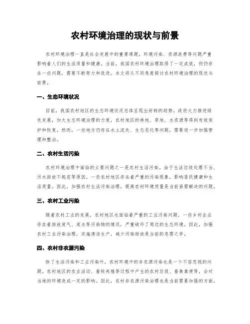 农村环境治理的现状与前景