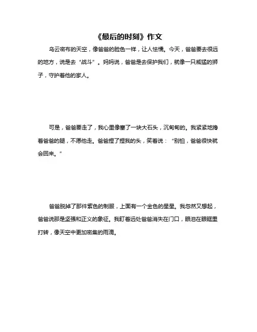《最后的时刻》作文