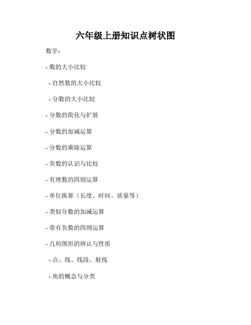 六年级上册知识点树状图