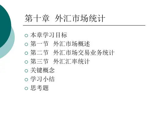 《金融统计学》第十章 外汇市场统计[精]