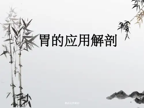 胃的应用解剖