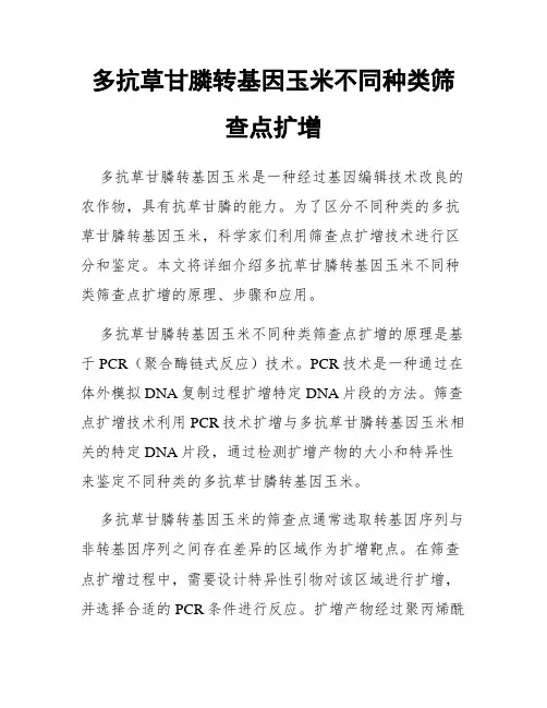多抗草甘膦转基因玉米不同种类筛查点扩增
