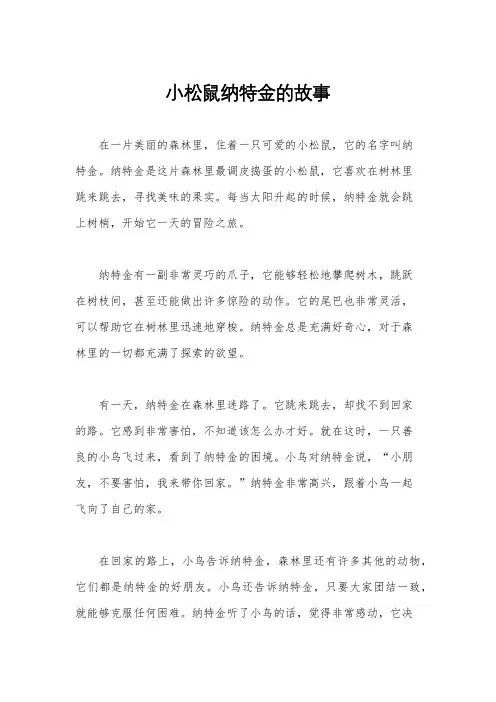 小松鼠纳特金的故事