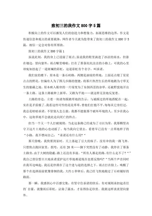 致初三的我作文800字5篇