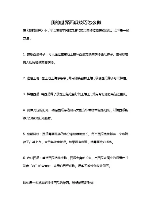我的世界西瓜技巧怎么做