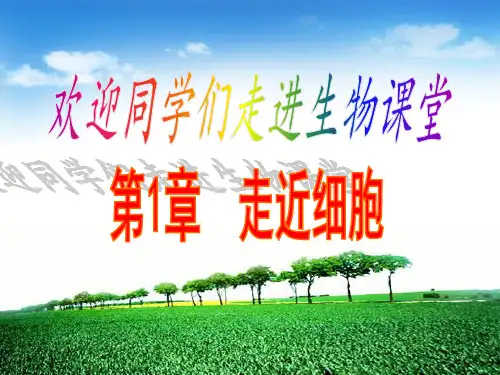 第一章走近细胞第一节从生物圈到细胞(共45张)