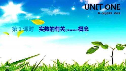 中考数学总复习 第一单元 数与式 第01课时 实数的有关概念课件数学课件