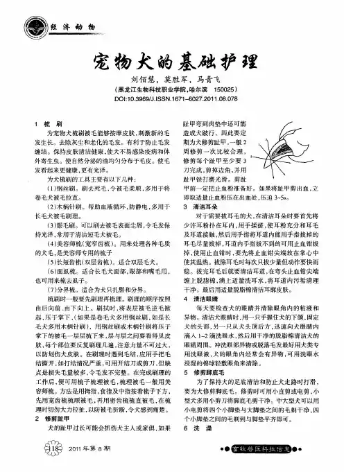 宠物犬的基础护理