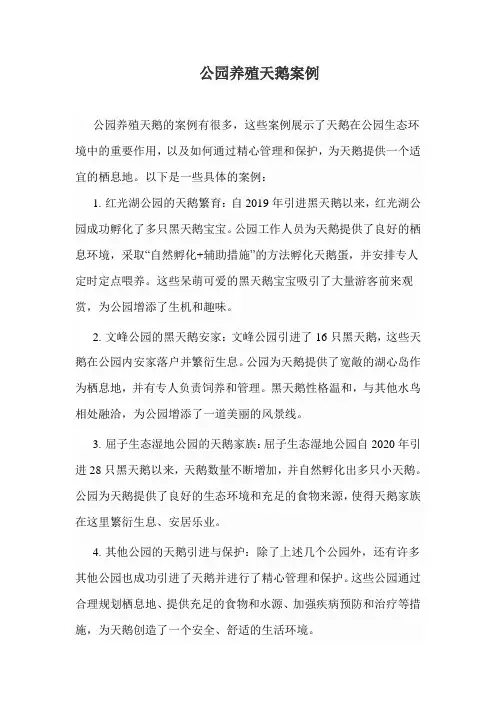 公园养殖天鹅案例