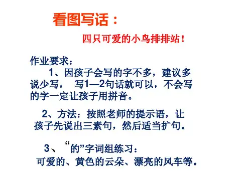 看图写话：四只可爱的小鸟排排站