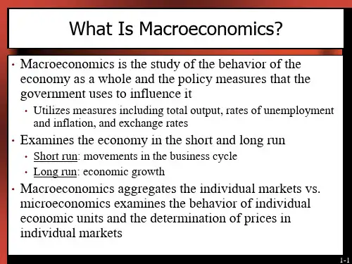 What Is Macroeconomics