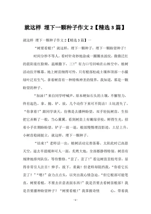 就这样 埋下一颗种子作文2【精选3篇】