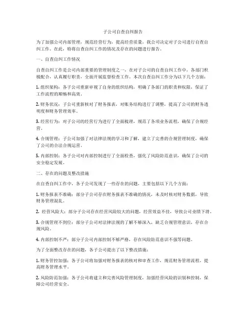 子公司自查自纠报告