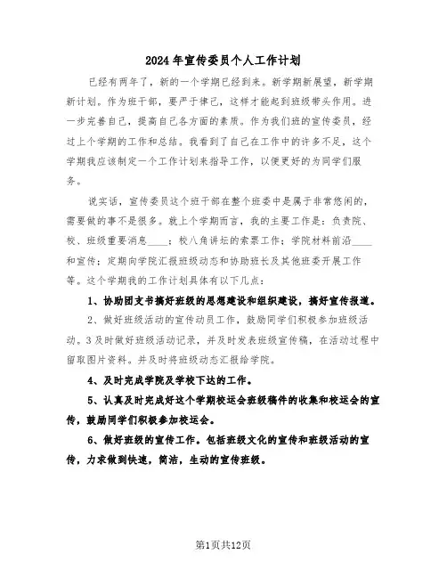 2024年宣传委员个人工作计划(5篇)