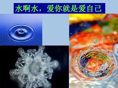 2020-2021学年人教版化学九年级上册 4.2 水的净化 课件 (7)