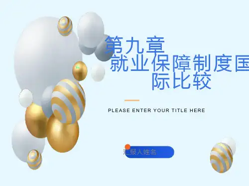 障制度国际比较