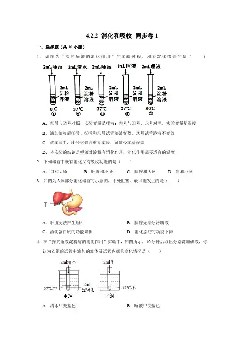 人教版生物七年级下册 消化和吸收
