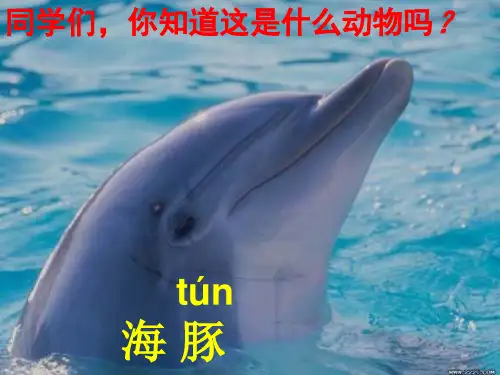 五年级下册语文S版《海豚救人》