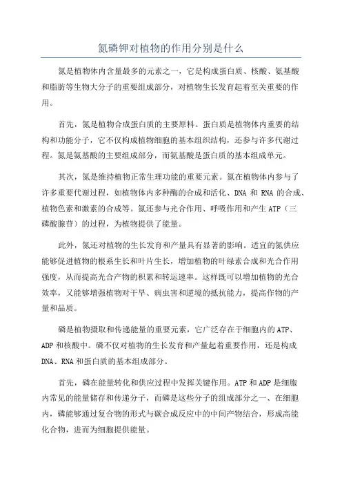 氮磷钾对植物的作用分别是什么