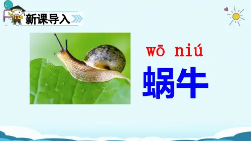 部编教材PPT《小蜗牛》优质教学PPT1