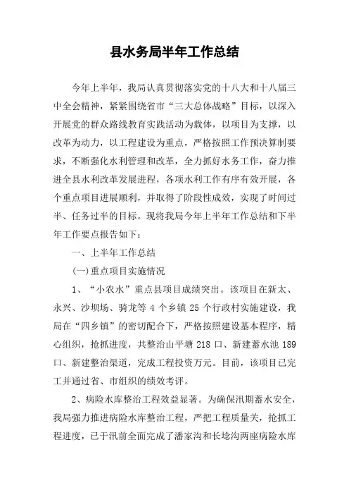 县水务局半年工作总结