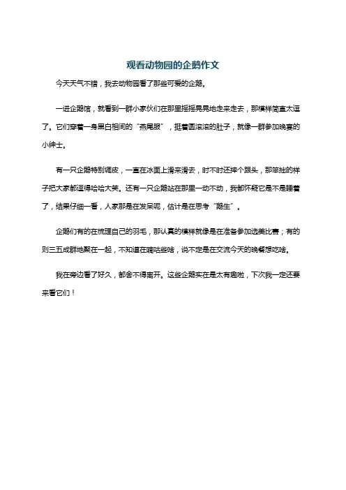 观看动物园的企鹅作文
