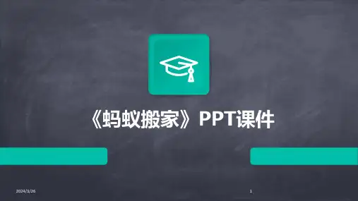 (2024年)《蚂蚁搬家》PPT课件