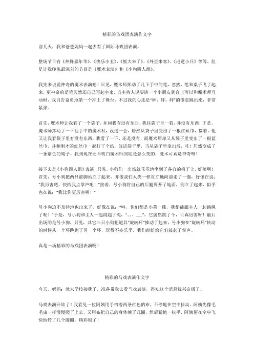精彩的马戏表演作文400字