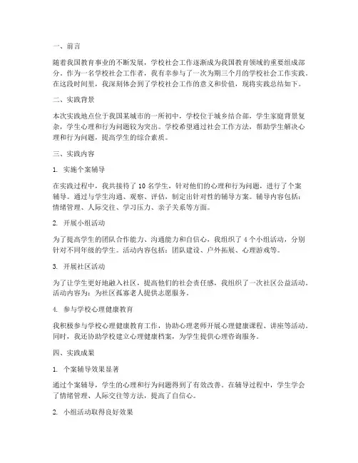 学校社会工作实践总结