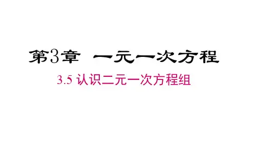 3.5  认识二元一次方程组 课件(共21张PPT) 湘教版七年级数学上册