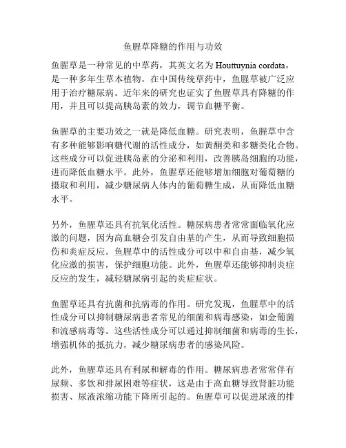 鱼腥草降糖的作用与功效