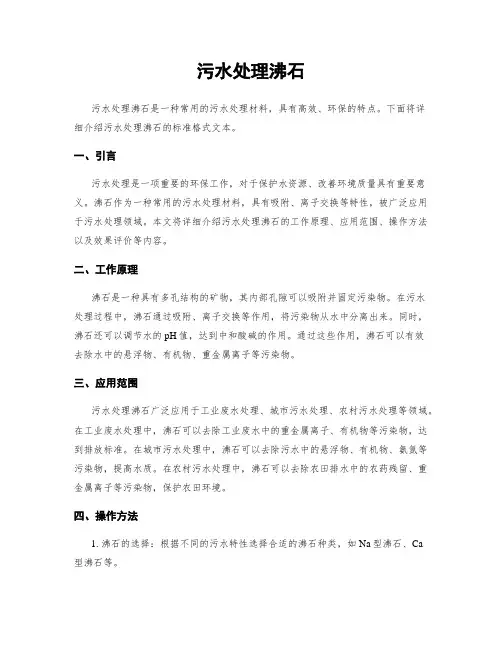污水处理沸石 (2)