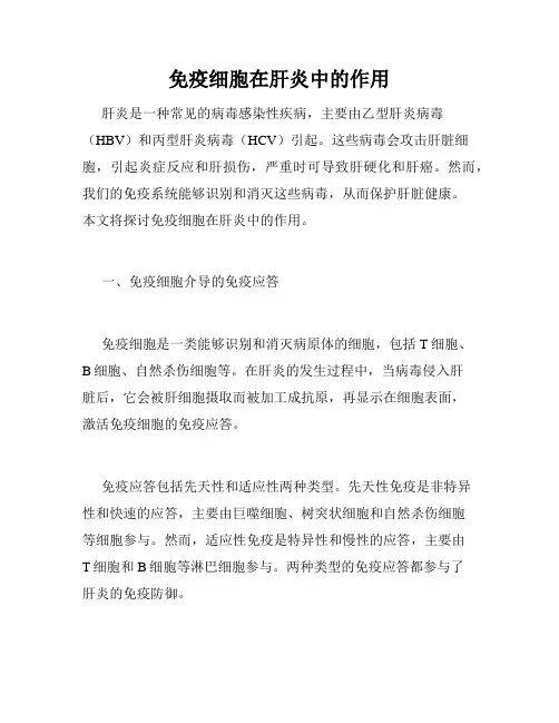 免疫细胞在肝炎中的作用