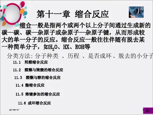 《缩合反应》PPT课件