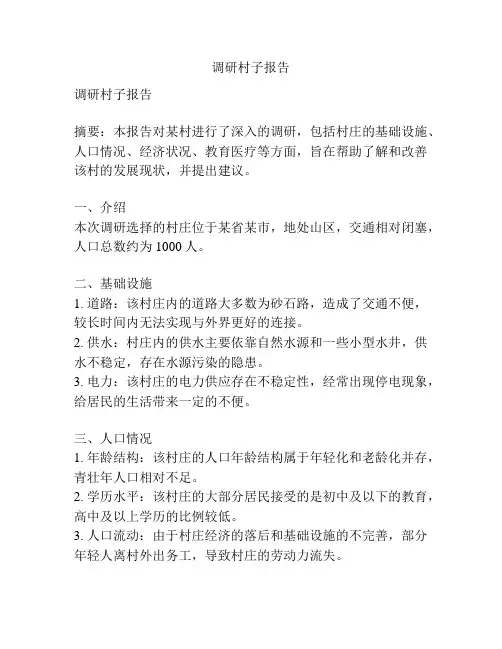 调研村子报告