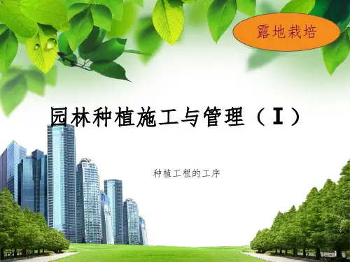 园林种植施工与管理PPT种植工程的工序