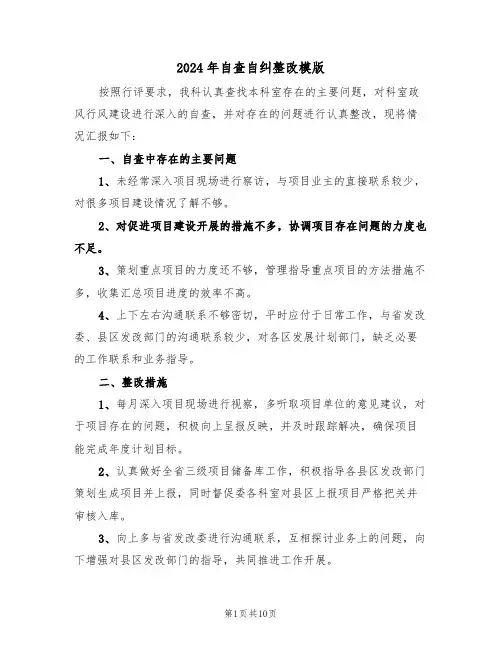 2024年自查自纠整改模版（五篇）