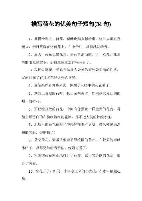 描写荷花的优美句子短句
