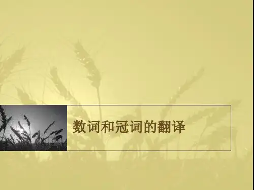 数词和冠词的翻译