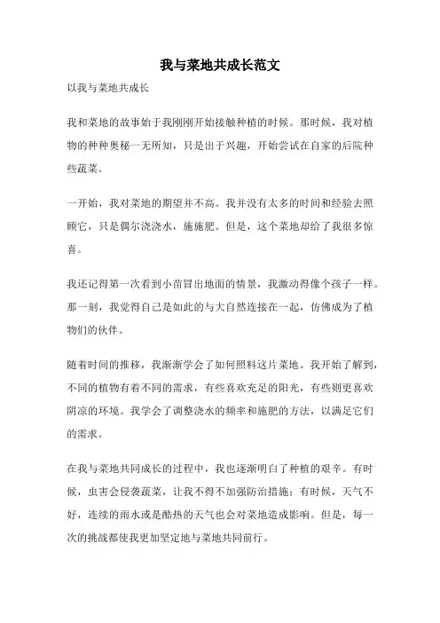 我与菜地共成长范文
