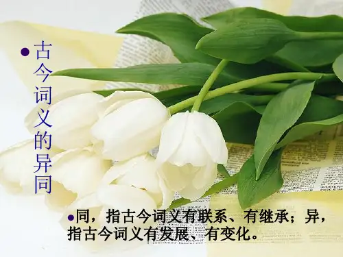 古今词义的异同xin