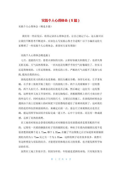 实践个人心得体会(5篇)