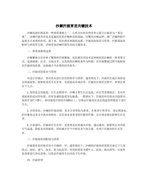 沙棘扦插育苗关键技术