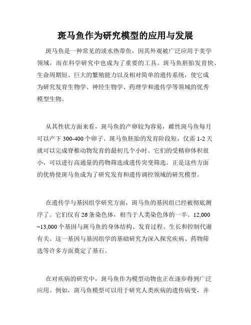 斑马鱼作为研究模型的应用与发展