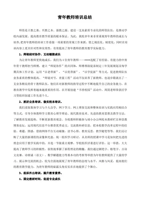青年教师培训总结