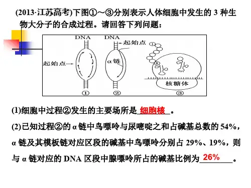 必修2第二单元第4讲 巧用图解,突破DNA复制与细胞分裂中染色体标记问题
