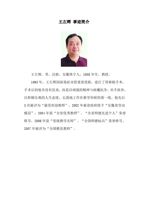 王左辉 事迹简介